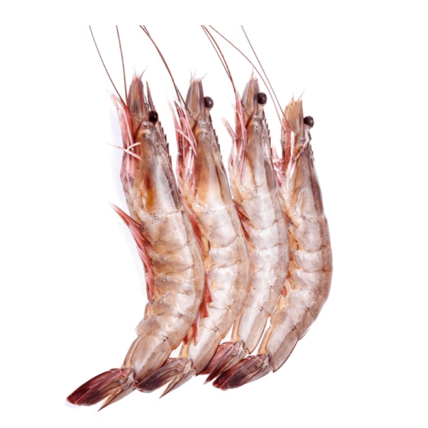Prawns