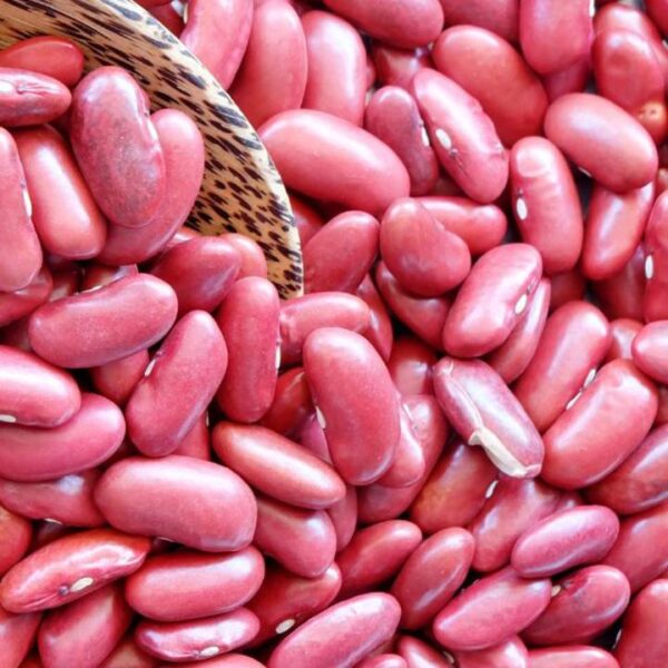 Red Kidney Beans