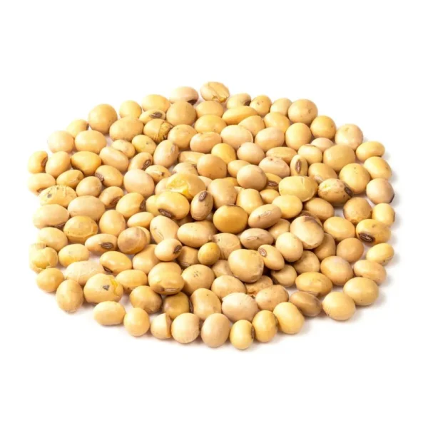 Soybean